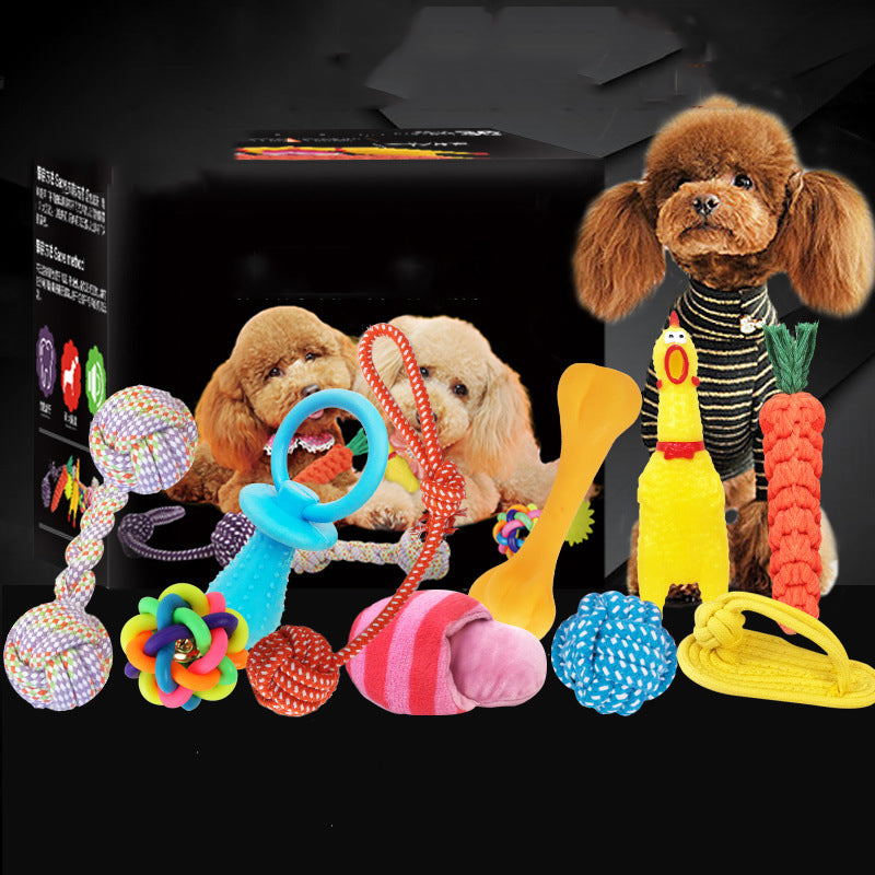 Assorted Dog Toys