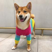 Load image into Gallery viewer, Rainbow Knit  Sweater for Dogs
