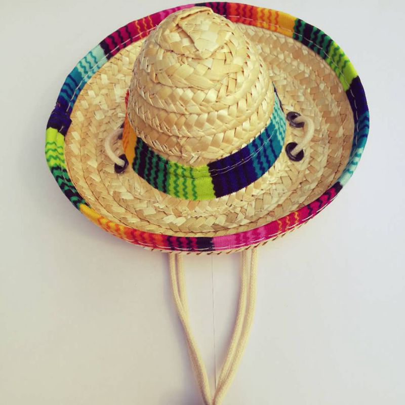 Sombrero Hat for Cats and Dogs