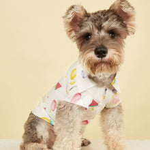 Load image into Gallery viewer, Summer Fruit Print Shirt for Dogs and Cats
