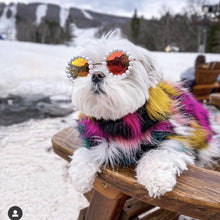 Load image into Gallery viewer, Pearl Sunglasses for Dogs and Cats
