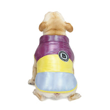 Load image into Gallery viewer, Multi Colored Bubble Vest for Dogs
