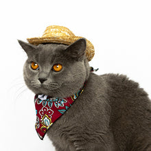 Load image into Gallery viewer, Western Straw Cowboy Hat for Cats and Dogs
