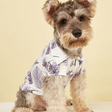 Load image into Gallery viewer, Resort Print Shirt for Dogs and Cats
