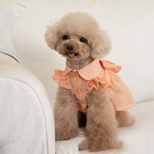 Load image into Gallery viewer, Bowknot Spring Dress for Dogs
